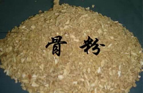 种植牙为什么要植入骨粉？会痛吗？都有哪些步