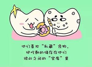 如何控制牙菌斑的滋生