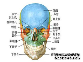 图片3.png